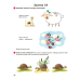 Умней-ка. 5—6 лет. Речевая мозаика