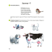Умней-ка. 4—5 лет. Развитие речи