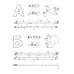 Скоро в школу. Прописи. Пишем от А до Я. 5–6 лет
