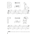 Скоро в школу. Прописи. Пишем от А до Я. 5–6 лет